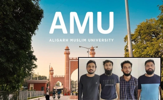 amu-stu.jpg