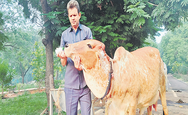 Homeopathy-Treating-Animal-Diseases-01.jpg