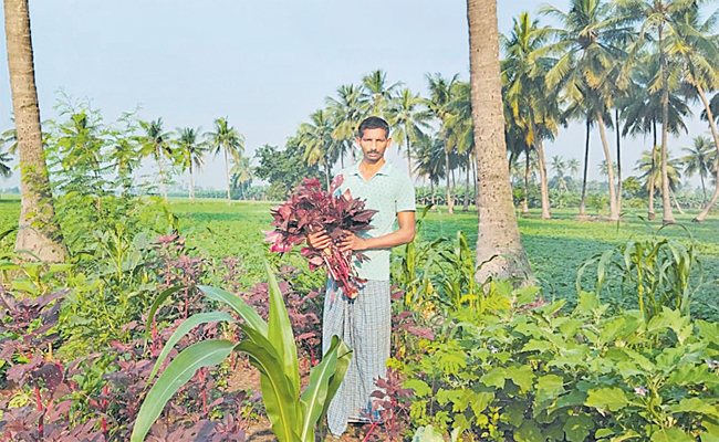 farmer.jpg