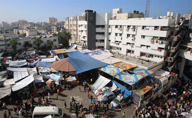 gaza.jpg