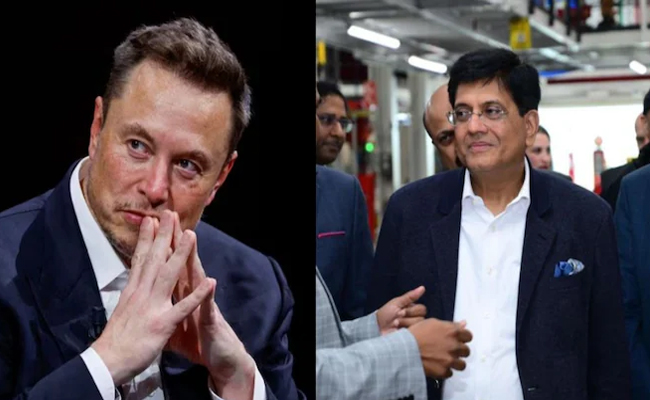 musk01.jpg