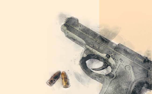 gun.jpg