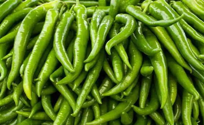 Green_20chilli.jpg