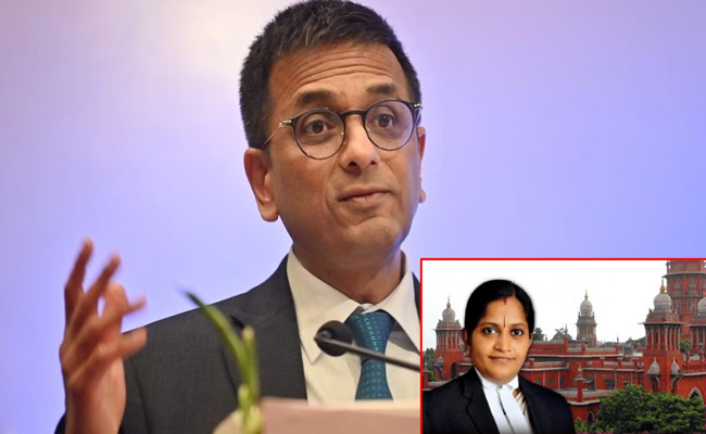 cji.jpg