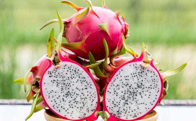 fruit.jpg