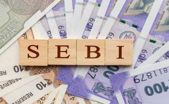 sebi.jpg