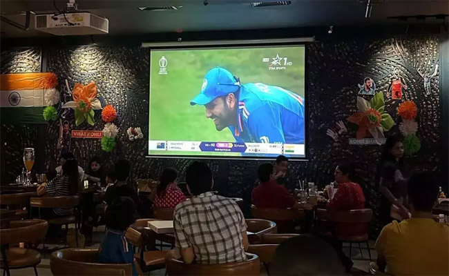 cricket-2.jpg