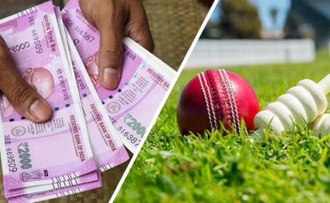 cricket0101.jpg