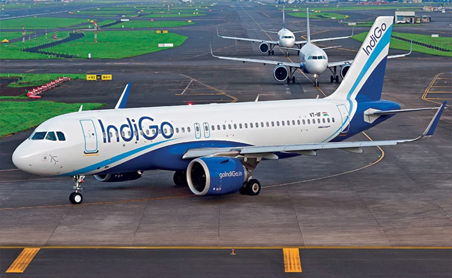 indigo01.jpg