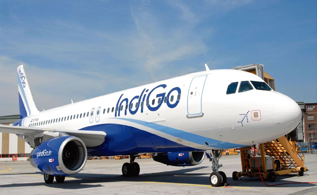 indigo01.jpg