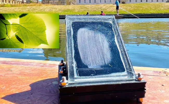 water.jpg
