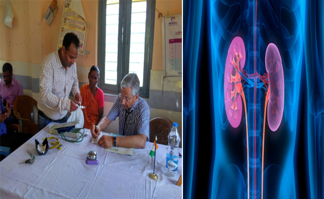 kidney.jpg