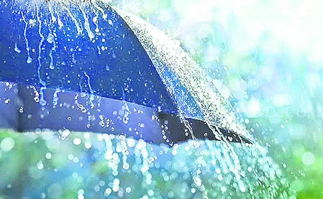 rain22.jpg