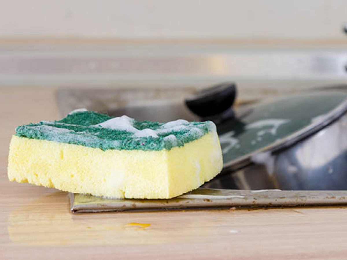Kitchen-Spong.jpg 9