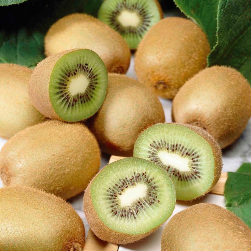 Kiwi.jpg 6