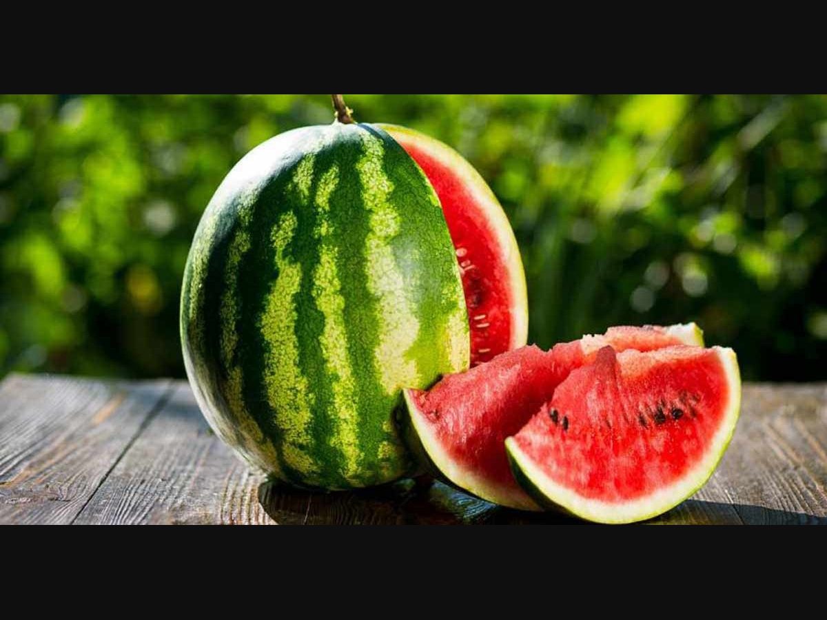 Water-melon.jpg 8