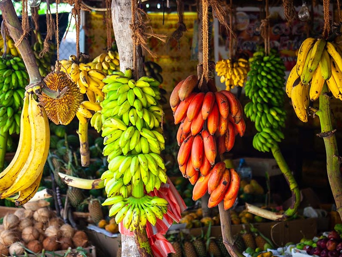 bananna.jpg 11