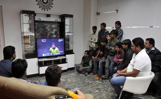 cricket01.jpg