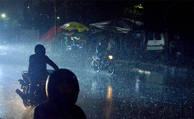 Rain.jpg1_.jpg