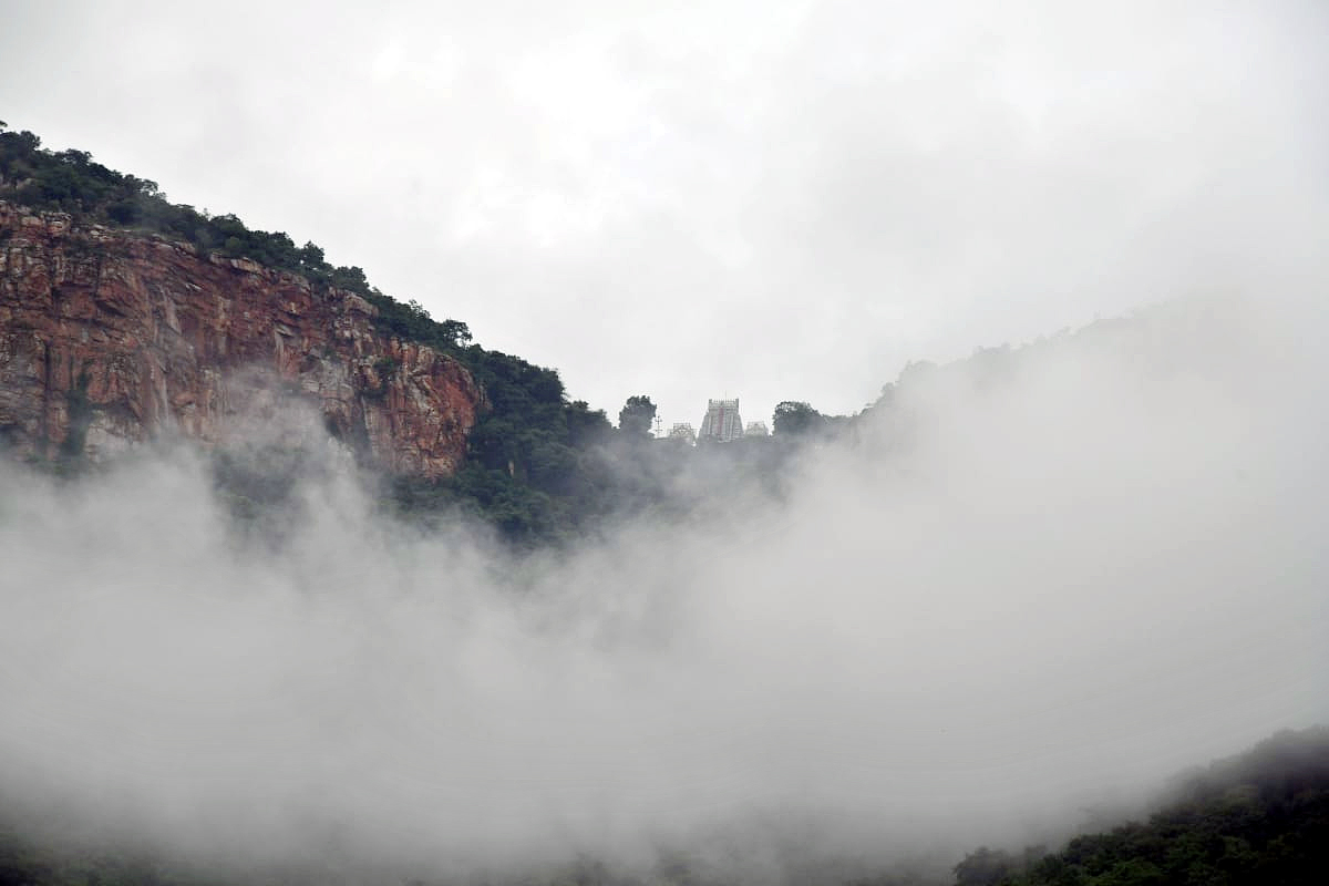 Tirumala_20Tirupati_20Temple_20Today_20Heavy_20Fog_20Photos-2.jpg 2