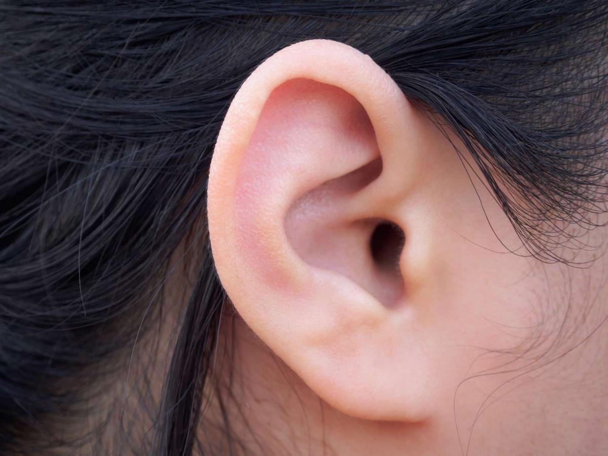 ear.jpg 7