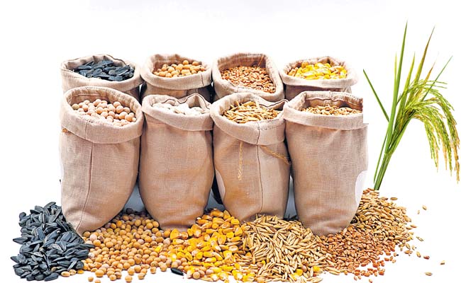 grains.jpg