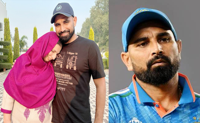 shami.jpg
