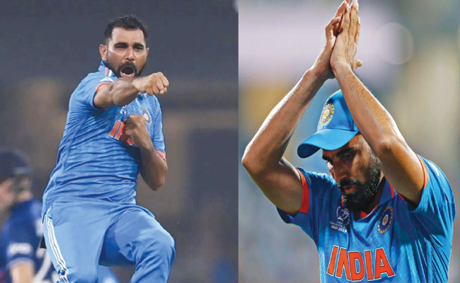 shami.jpg