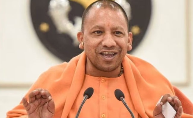 yogi_img.jpg