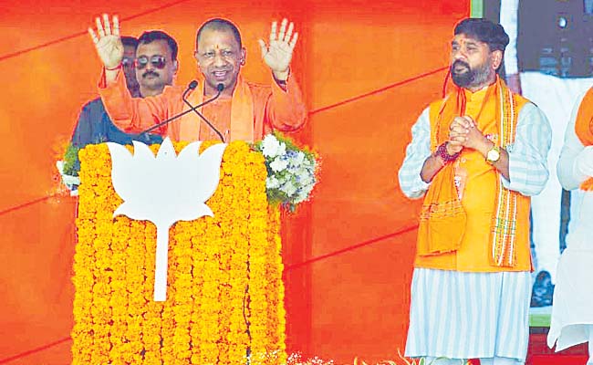 yogi.jpg