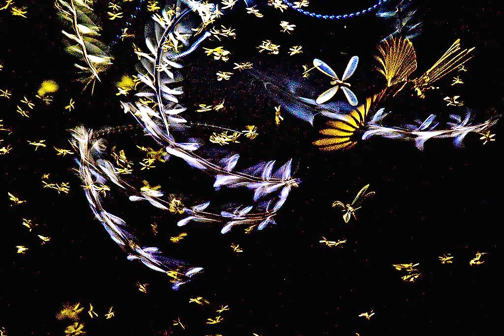 05-Anirban_20Dutta.jpg 6