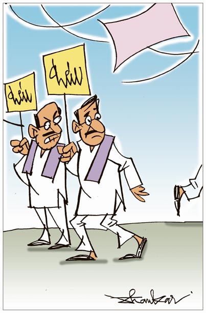 Salshi-Cartoon.jpg