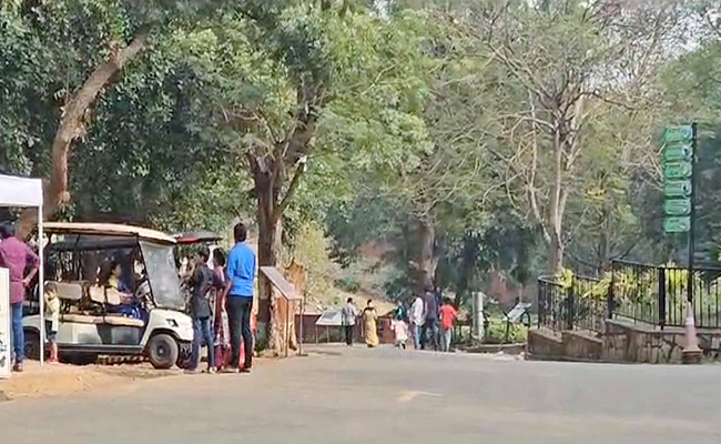 VSP-ZOO.jpg