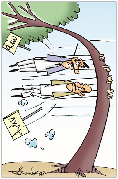 Cartoon.jpg