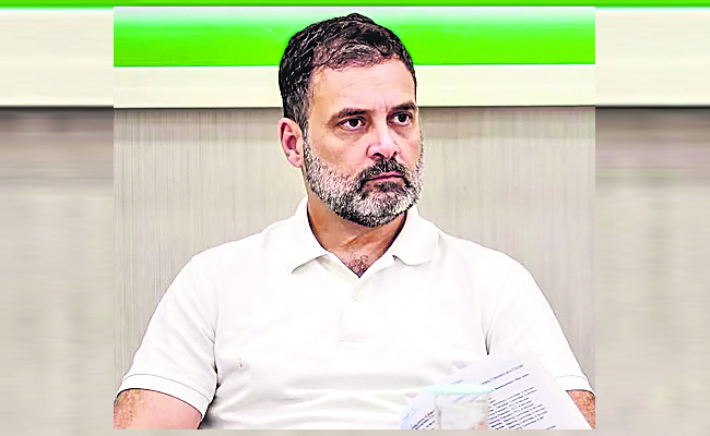 RAHUL_2014.jpg