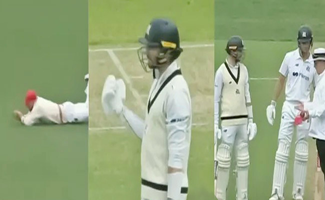 cricket.jpg