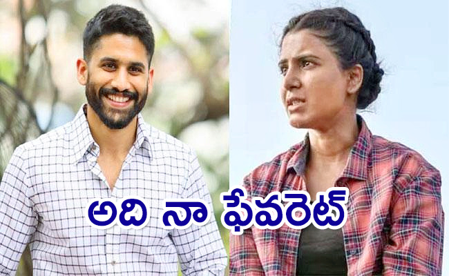 Naga-Chaitanya-says-The-Family.jpg