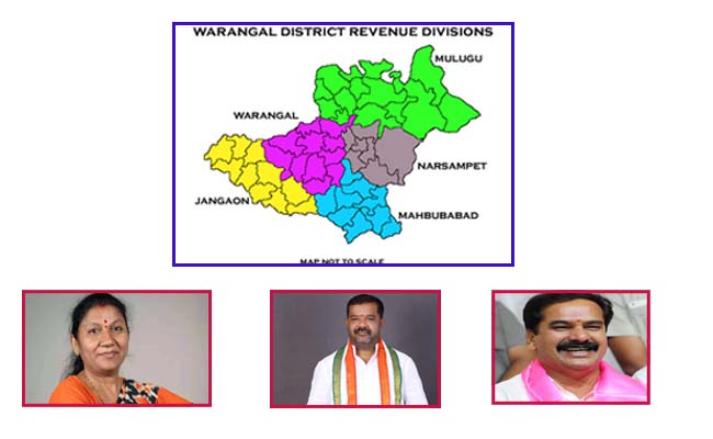 Warangal_20District_20333.jpg