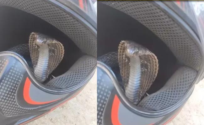 bike.jpg