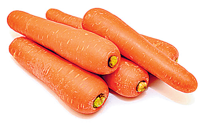 carrot.jpg