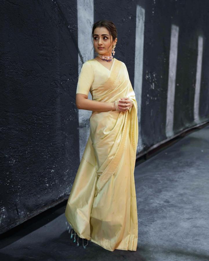 Trisha-Krishnan.jpg 8