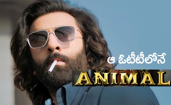 animal-movie-ott.jpg