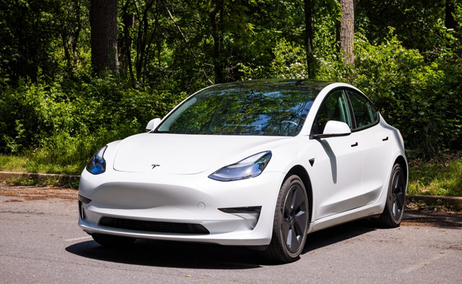 musk01.jpg
