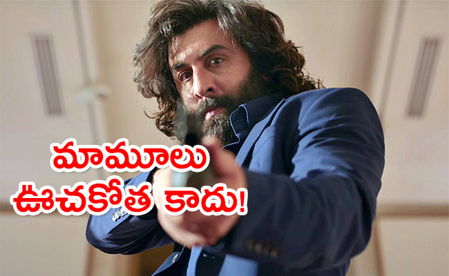 Ranbir-Kapoor-Animal-First-Day-Box-Office.jpg