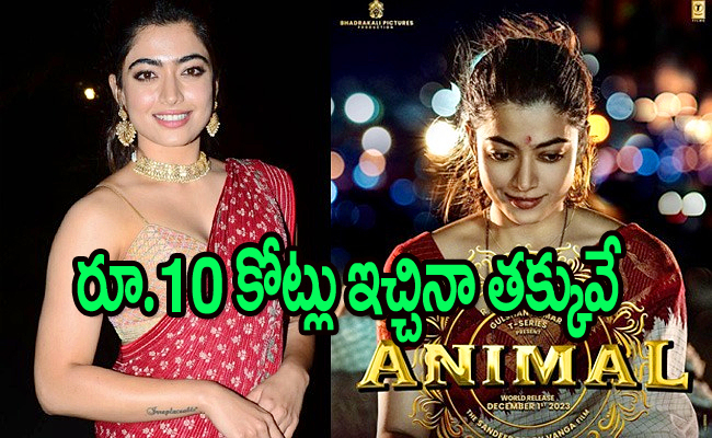 Rashmika-Mandanna.jpg