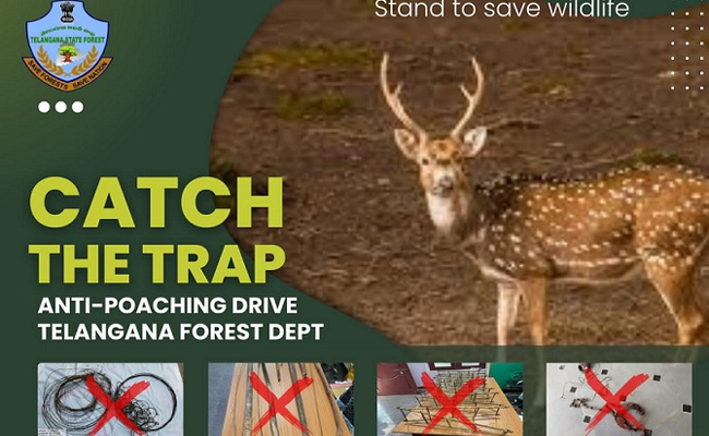 wildlife_20hunting.jpg
