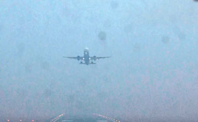 flight.jpg
