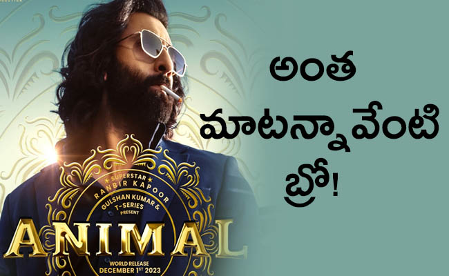 Animal-Movie-02.jpg