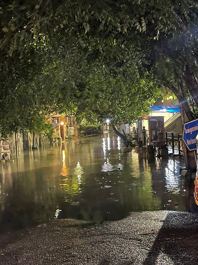 Cyclone_20Michaung_20Heavy_20rains_20Pics-14.jpg 12