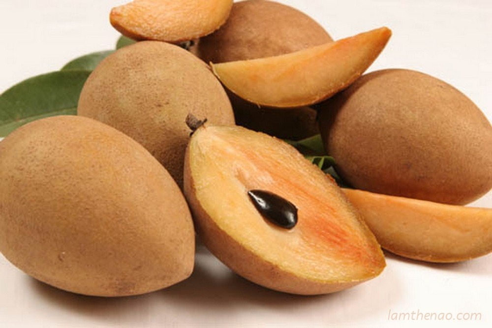 sapota-fruit.jpg 4